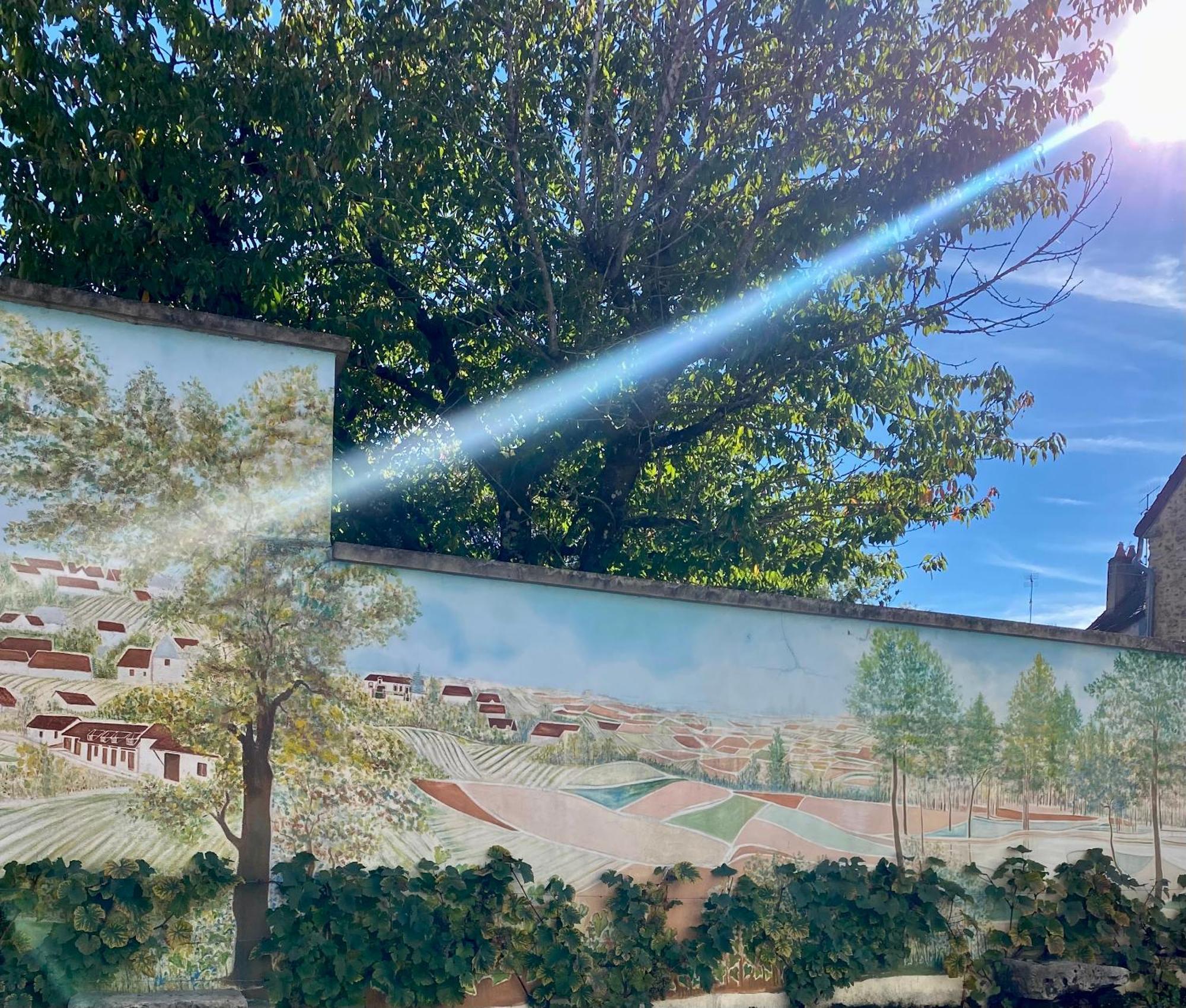 Domaine Du Cellier De La Couronne Sézanne Exterior foto